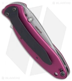 Kershaw Knife Shop -Kershaw Knife Shop Kershaw Scallion purple bb BHQ 14804 er side